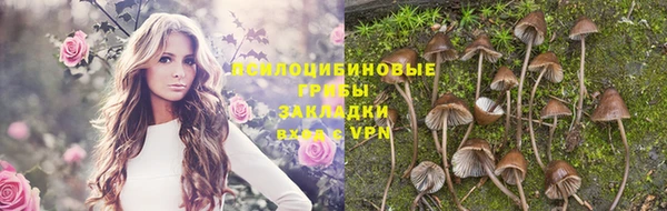 бутират Лихославль
